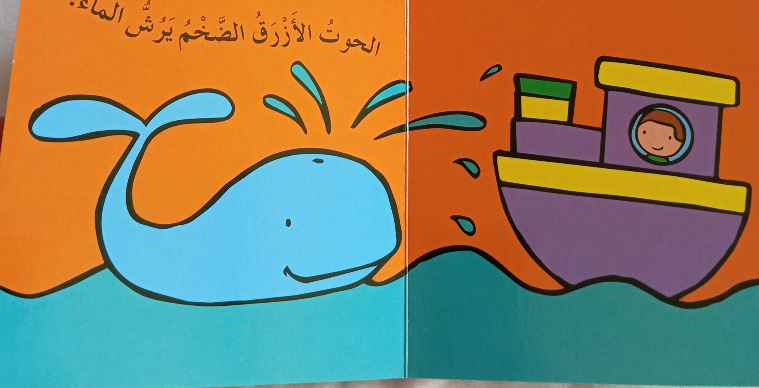 السفينة - الصورة 3