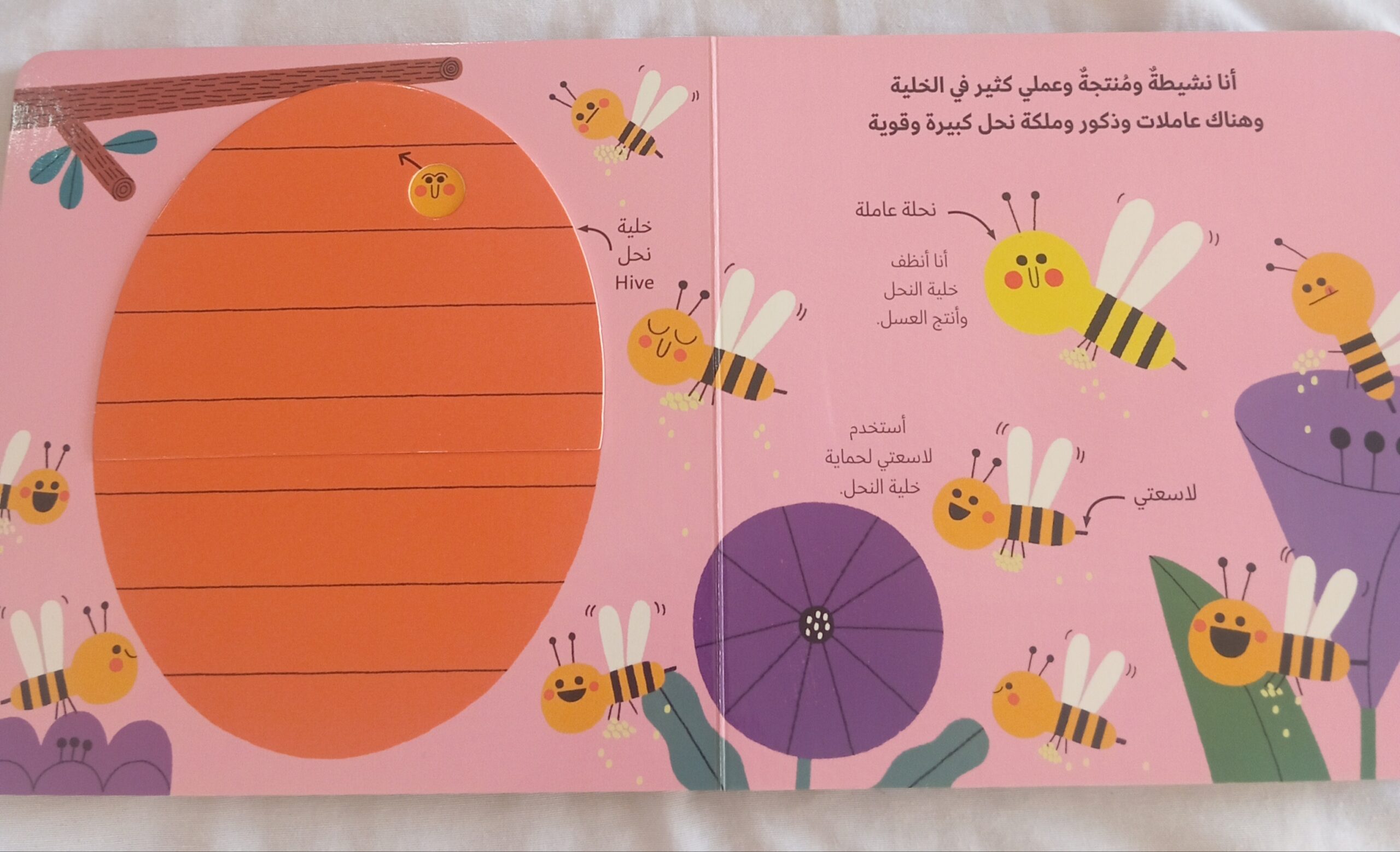 النحلة - الصورة 5