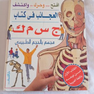 جسمك (مجسم بالحجم الطبيعي)